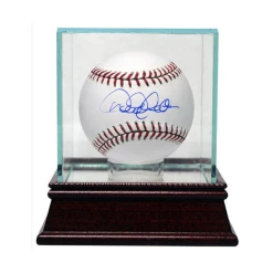 Baseball Bargains Single Baseball Glass Display Case Baseballs